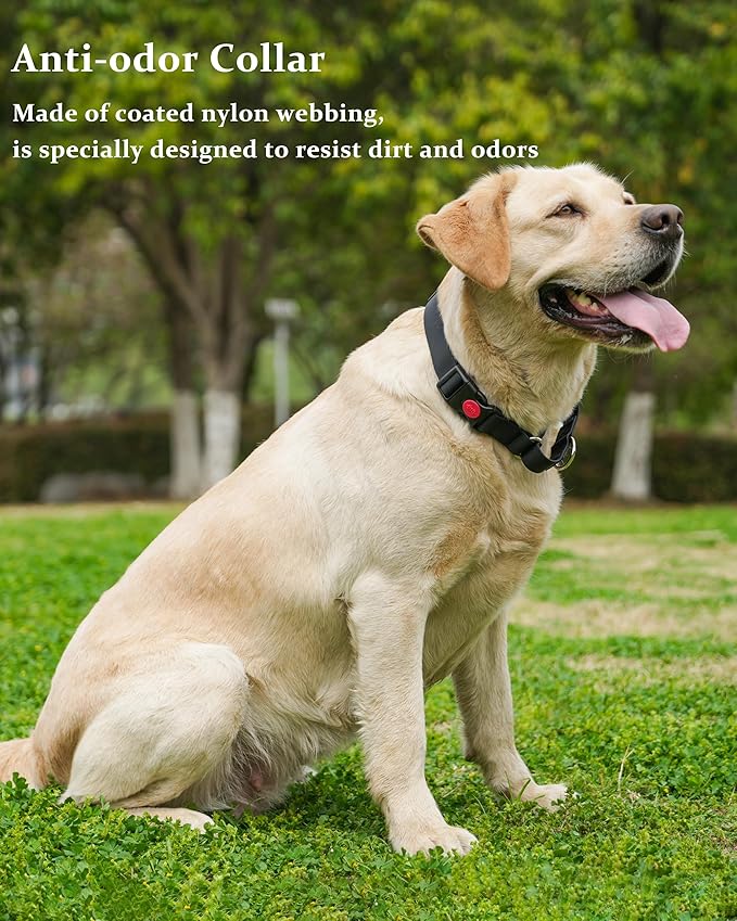 Waterproof Martingale Collar for Dogs,Easy to Clean Dog Collars with Safety Quick Release Buckle,Rubber Collar for Medium Large Dogs Walking Training (Black, L (19.6-25.9inch))