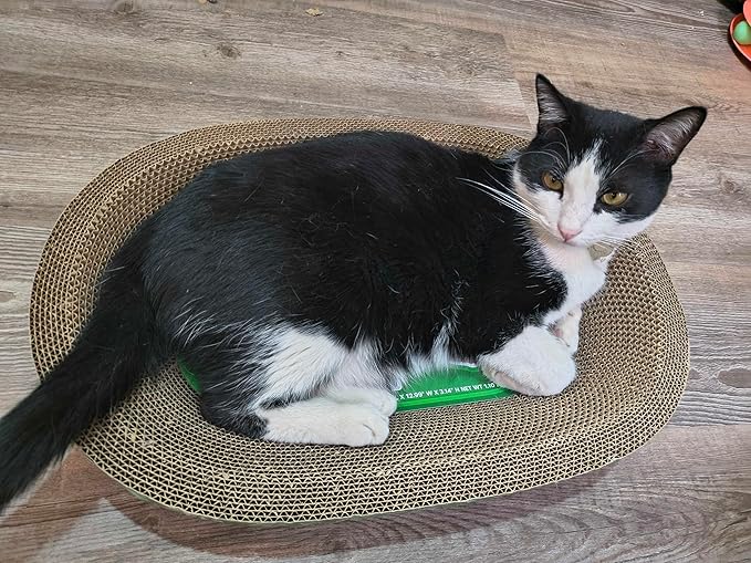 Cardboard Cat Scratchers Pack, Long-Lasting Cardboard Cat Durable Scratching Pads to Protect Furniture, Sturdy Corrugated Design, Safe for Claws (B-Scratcher Oval Pack x 10)