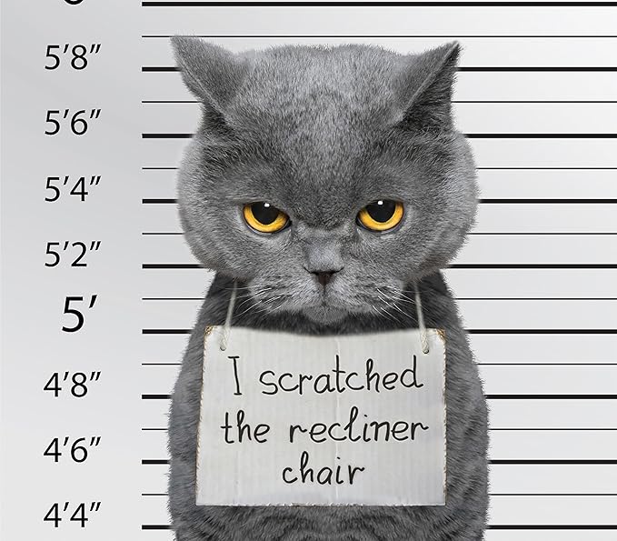 Plastic Recliner Armchair Cover For Pets | Cat Scratching Protector Clawing Deterrent | Heavy Duty Thick Clear Vinyl Chair Slipcover | Waterproof Plastic Furniture Covers For Storage And Moving