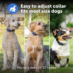PetSafe Pro Dog Trainer with Remote - Effective Dog Training - 15 Levels of Static Correction - Waterproof Collar - Rechargeable Training Collar - Compact Remote Transmitter