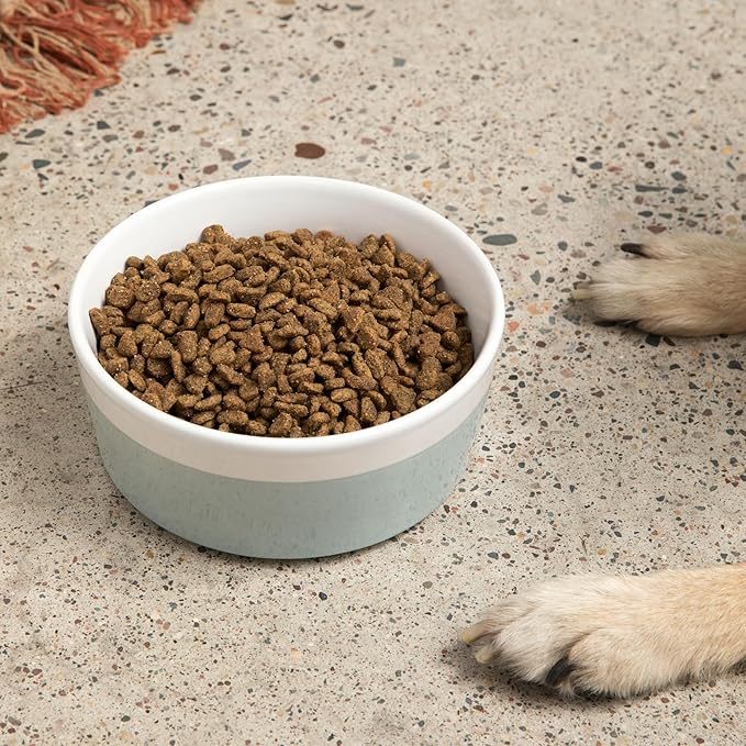 Waggo Dipper Ceramic Dog Bowl for Small and Large Breeds - Heavyweight and Durable Pet Food and Water Dish Crock, Dishwasher Safe, Modern (Cloud, Small)