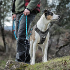Kurgo Journey Air Dog Harness - Secure Fit for Active Dogs - Padded Chest - Lightweight Ripstop Fabric - Breathable Mesh - Reflective Trim - Back Assist Handle - Black - Medium