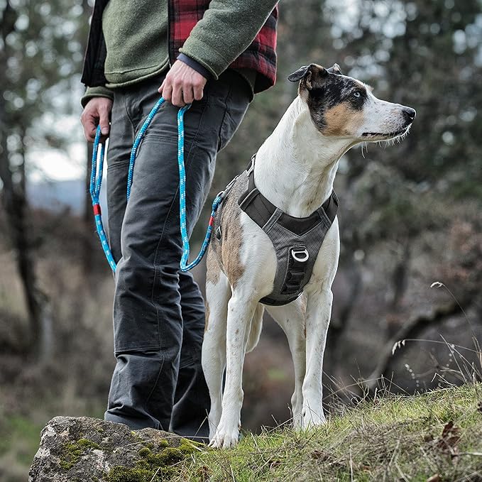 Kurgo Journey Air Dog Harness - Secure Fit for Active Dogs - Padded Chest - Lightweight Ripstop Fabric - Breathable Mesh - Reflective Trim - Back Assist Handle - Black- Small