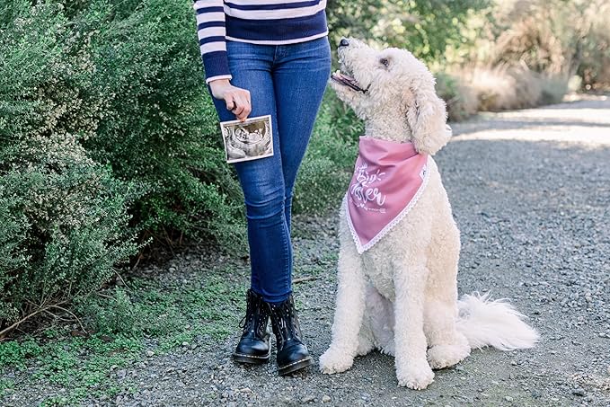Big Sister Dog Bandana for Pregnancy Announcement, Handkerchief and/or Scarf Accessory for Dog, Warm Pink Color, Fits Medium to Large Dogs, Gender Reveal Prop for Expecting Mothers