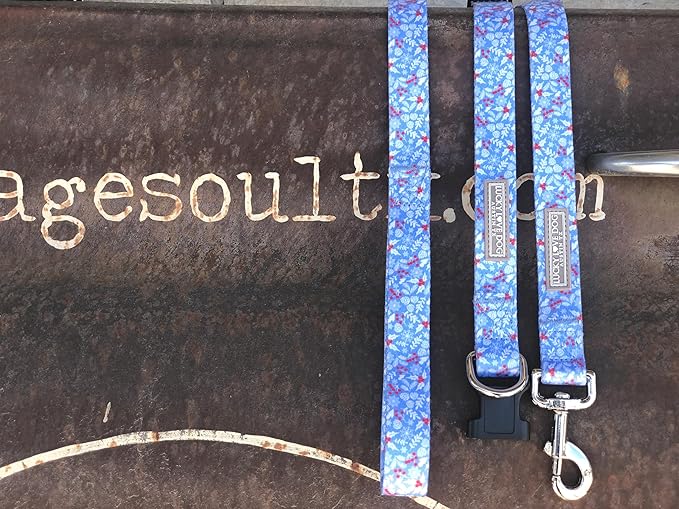 Lucky Love Dog Martingale Dog Collar & Leash - Adjustable, No-Slip, Durable, Comfortable, Soft Webbing, & Stylish Patterned Collar & Leash Set for Male and Female Dogs - Winterblue Combo, Medium