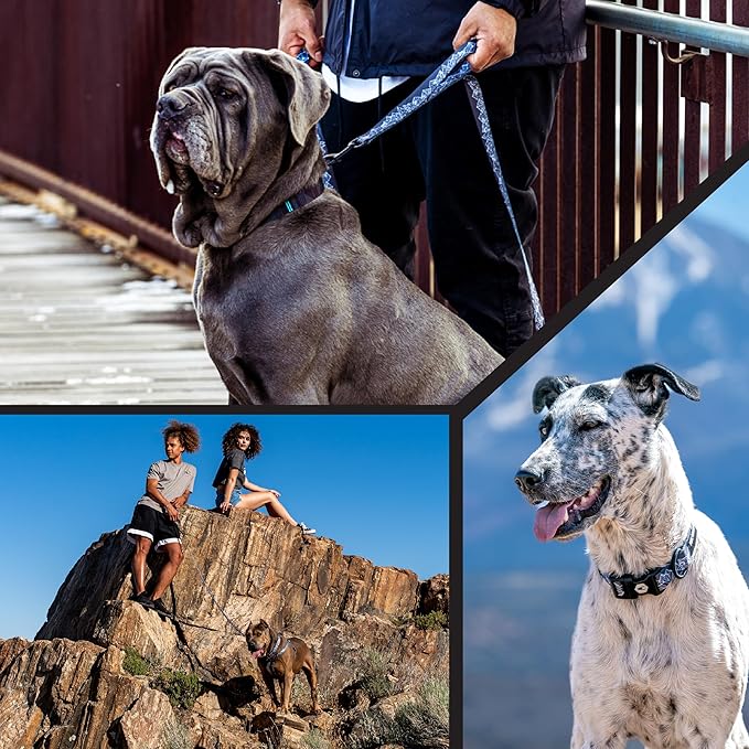 Wolfgang Heavy Duty, Adjustable Dog Collar with Quick Release Nylon Buckle for Walking & Training, WolfMountain Print, Small