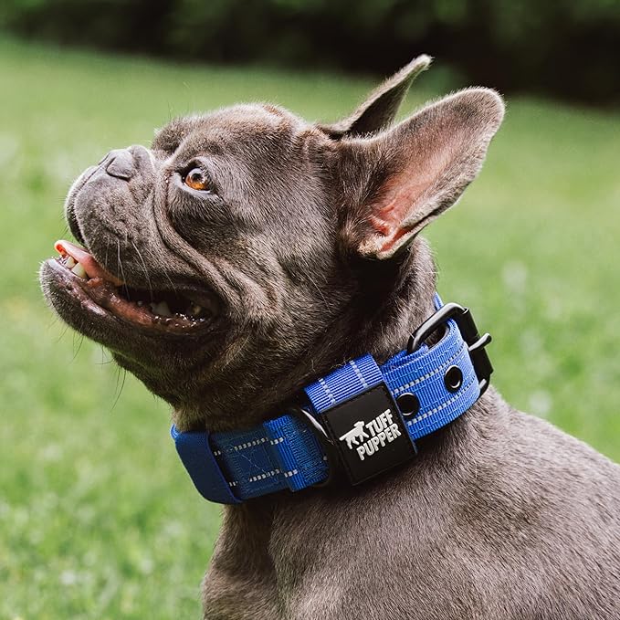Tuff Pupper Heavy Duty Tactical Dog Collar | 1.25" Wide Ballistic Nylon | Reflective Stitching | Integrated ID Tag Holder | Stainless Steel Buckle | Padded Lining | Small & Medium Dogs (Blue, Small)