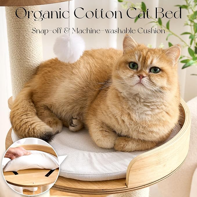 797Audio Modern Solid Wood Cat Tree Tower, 49" Tall Cat Tree with Sisal Scratching Posts for Adult Cats, Luxury Natural Oak Wooden Cat Tower,Aesthetic Multi-Level Cat Climbing Tree for Indoor Cat