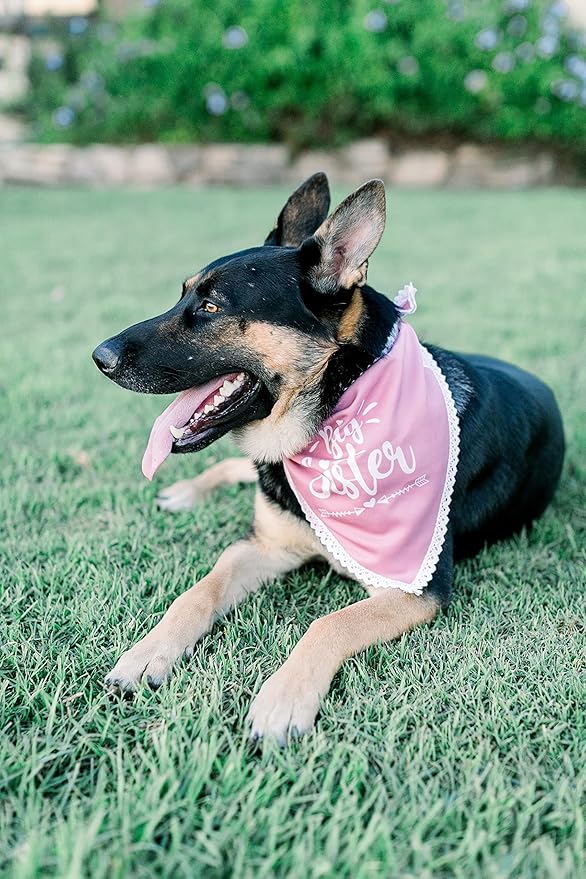 Big Sister Dog Bandana for Pregnancy Announcement, Handkerchief and/or Scarf Accessory for Dog, Warm Pink Color, Fits Medium to Large Dogs, Gender Reveal Prop for Expecting Mothers