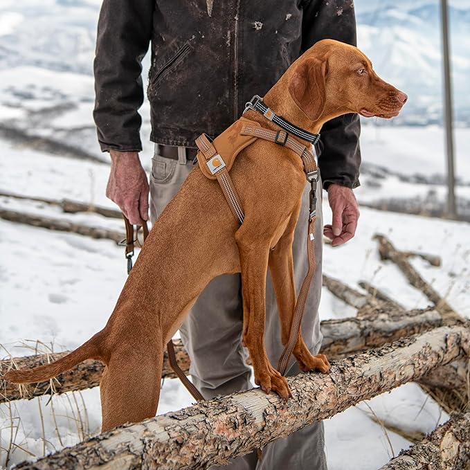 Carhartt Nylon Duck No Pull Dog Harness, Fully Adjustable Dog Harness with Quick Control Handle and Reflective Accents, Carhartt Brown, Large