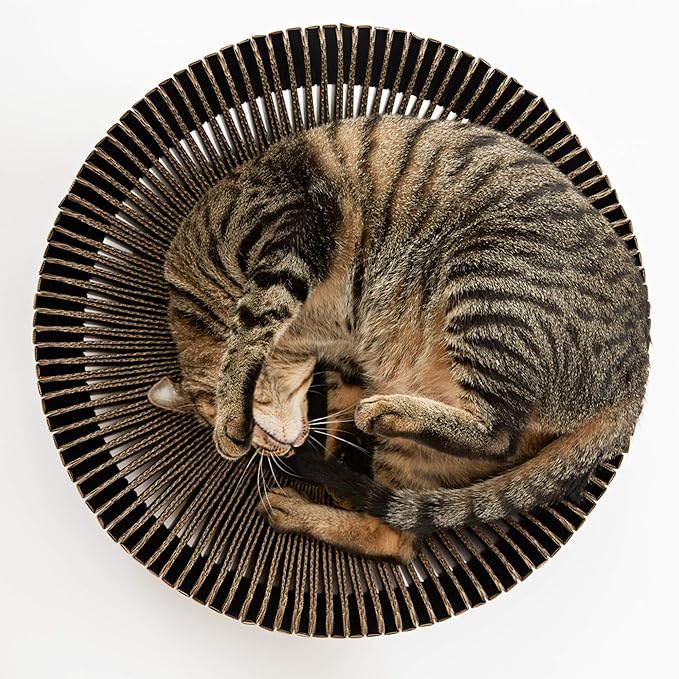 Nest Cat Scratcher Lounge Bed (Midnight Black Un-Assembled)