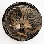 Nest Cat Scratcher Lounge Bed (Midnight Black Un-Assembled)