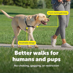 PetSafe Easy Walk No-Pull Dog Harness - The Ultimate Harness to Help Stop Pulling - Take Control & Teach Better Leash Manners - Helps Prevent Pets Pulling on Walks, Medium, Apple Green/Gray