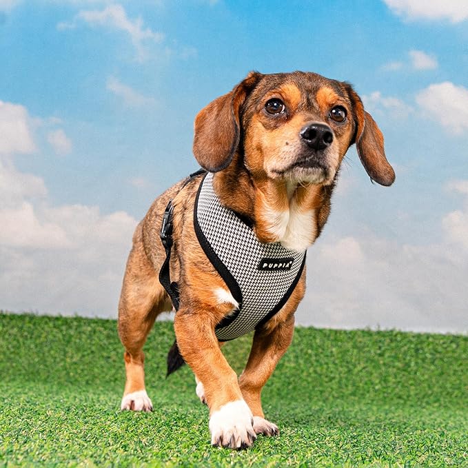 Puppia Amatus Dog Harness A (Over-The-Head) Fashionable Houndstooth Pattern Spring Summer Harness for Small and Medium Dogs, Black, Medium