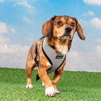 Puppia Amatus Dog Harness A (Over-The-Head) Fashionable Houndstooth Pattern Spring Summer Harness for Small and Medium Dogs, Black, Small