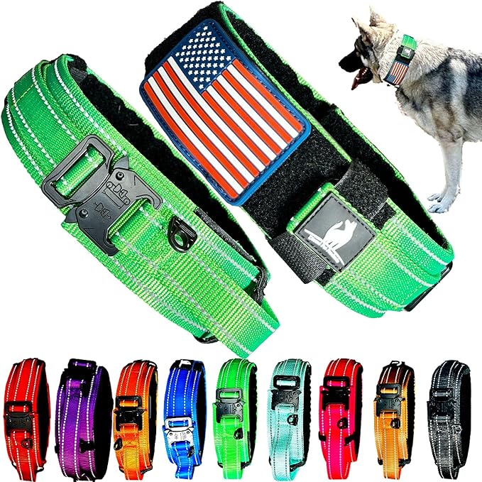 2-Inch Wide Tactical Dog Collar with Control Handle, Adjustable for Medium & Large Dogs, Military Style with Heavy-Duty Metal Buckle, USA Flag Patch & Customizable Name Plate, Training & Everyday Use