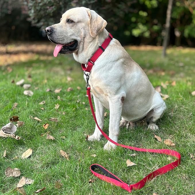 Premium Nylon Adjustable Anti-Escape Martingale Dog Collars,Comfort and Silky Dog Collar with Heavy Duty Metal D-Ring for Medium Dogs Walking,Training. (Chili Pepper, Medium)