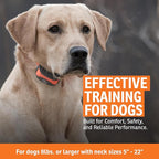 SportDOG SportTrainer Remote Trainer - Reliable Off-Leash Control - OLED Screen - Waterproof Dog Training Collar - Rechargeable E-Collar - 1/2 Mile-Range - Orange