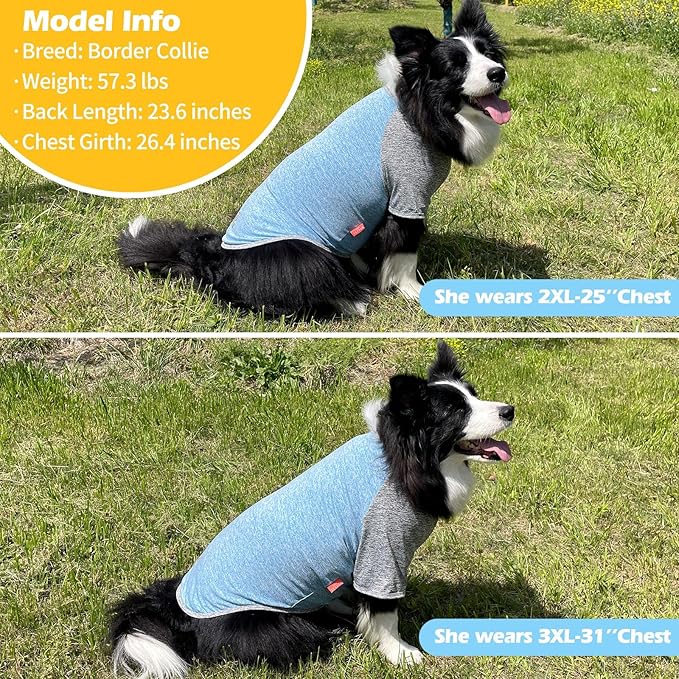 KYEESE 2Pack Dog Shirt with Sleeves, Lightweight Sun Protection Dog T Shirts for Medium Large Dogs Boy, Breathable Pet Tank Top Reflective Dogs Clothes for Summer Outdoor Walking, Blue+Grey, 2XL