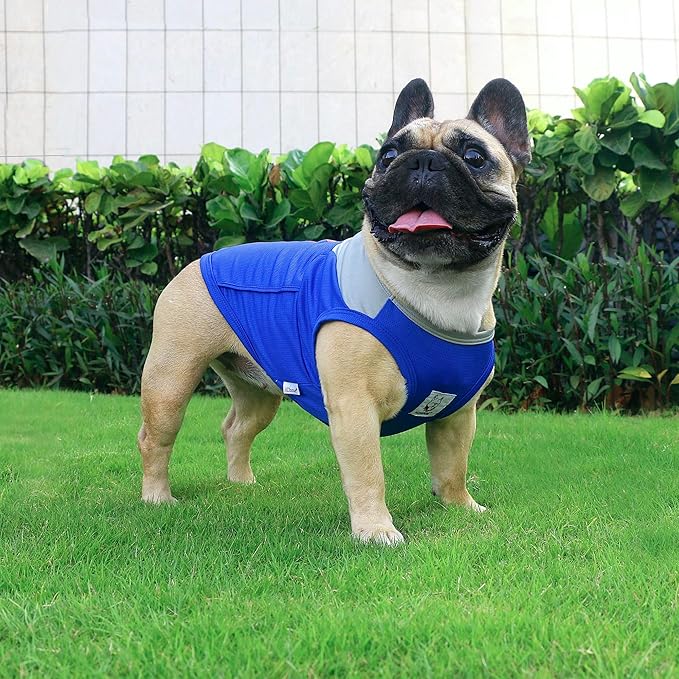 iChoue 2pcs French Bulldog Summer Cooling Shirt for Dogs UV Sun Protection Vest Sleeveless Breathable Tank Top English Pug Blue Grey Red Grey - Large