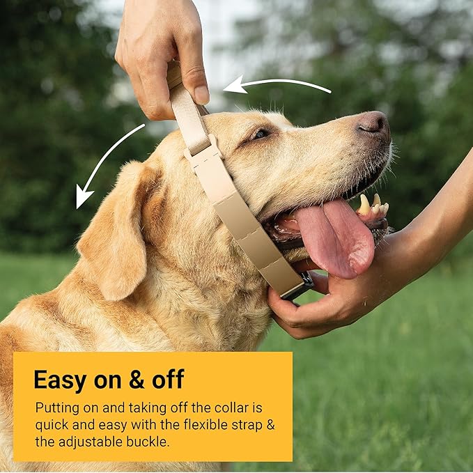 SVD.PET Dog Prong Collar for No-Pull Training, Quick-Release Buckle Adjustable Pinch Collar for Small Dogs (Tan, Small Size, Suitable Neck Girth: 7"-10")
