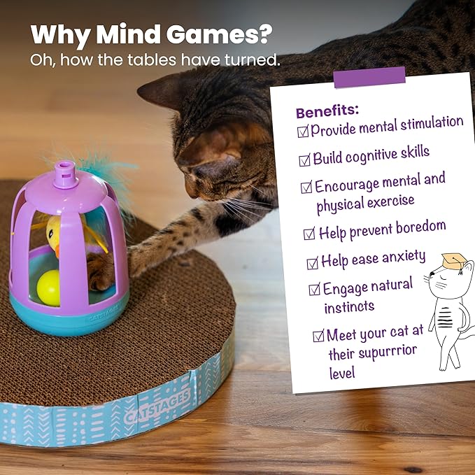 Catstages Two-in-One Chirping Bird Cat Toy with Ball Track for Corrugate Cat Scratcher, Engages Hunting Instincts, Purple