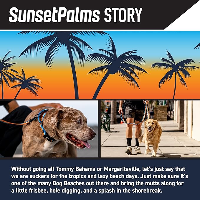 Wolfgang Heavy Duty, Adjustable Dog Collar with Quick Release Nylon Buckle for Walking & Training, SunsetPalms Print, Large