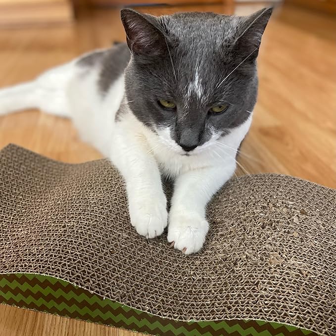 SPOT Wave Cat Scratcher - Corrugated Scratching Board with Wavy Design, Made from 100% Eco-Friendly & Recyclable Cardboard, Encourages Good Scratching Behavior - 17" Board with Catnip Pouch Included