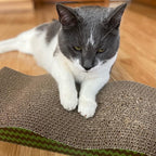 SPOT Wave Cat Scratcher - Corrugated Scratching Board with Wavy Design, Made from 100% Eco-Friendly & Recyclable Cardboard, Encourages Good Scratching Behavior - 17" Board with Catnip Pouch Included