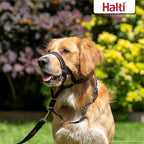 Halti Headcollar Size 3, Black & Halti Training Leash Size Large, Black Combination Pack - Stop Your Dog Pulling on the Leash. Adjustable, Lightweight with Padded Nose Band. Suitable for Medium Dogs