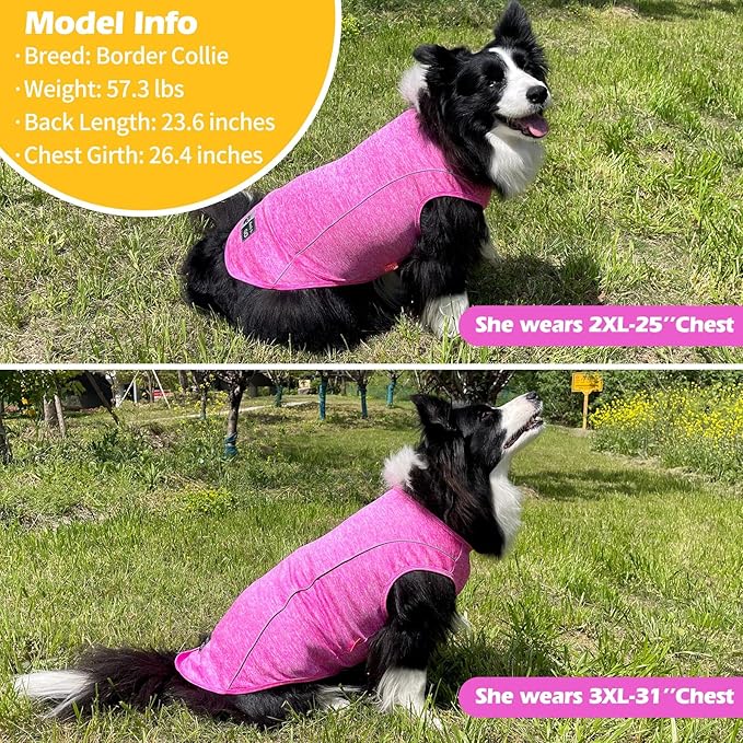 KYEESE Reflective Dog Shirt, Lightweight Sun Protection Dog T Shirts for Large Dogs Girl, Breathable Sleeveless Pet Tank Top Summer Dogs Clothes for Night Walking Outdoor, Rose Red, 3XL