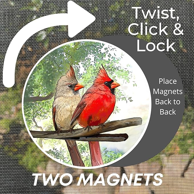 Screen Door Magnets Double Sided – Keep People, Kids, and Dogs from Running into The Screen Door - Robbins Aria Cardinal