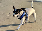 Gooby Escape Free Easy Fit Harness - Blue, Large - No Pull Step-in Patented Small Dog Harness with Quick Release Buckle - Perfect On The Go No Pull Harness for Small Dogs or Medium Dog Harness