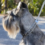 Herm Sprenger Chrome Plated Steel Dog Collar with Quick Release ClicLock Buckle and Biothane Insert Training Collar for Dogs Made in Germany (Black, 23in x 3.2mm(Neck Size up to19-20in))