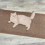 Rainmae 70.9""x 15.7"" Thickened Extra Large Cat Wall Climbing Carpet with 10pcs Fixed Nails, Durable Cat Wall Furniture, Wall Scratcher, Scratching Post, Couch Sofa Protector, Brown