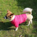 Fleece Lined Dog Coat with Detachable Hood and Detachable Hind Legs,Warm Puppy Jacket in Winter(Pink S)