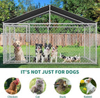 DWVO Outdoor Dog Enclosure with Roof, 10'x10' Dog Kennel Outside with Metal Gate, Dog House Large Dogs for Yard