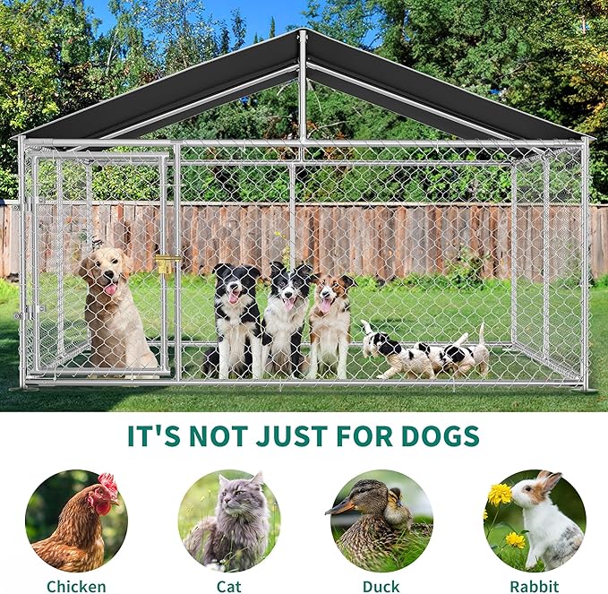 DWVO Outdoor Dog Enclosure with Roof, 10'x10' Dog Kennel Outside with Metal Gate, Dog House Large Dogs for Yard