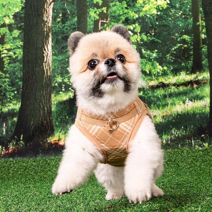 Puppia Corwin Dog Vest Harness B (Step-in) Fashionable Checkered Pattern Spring Summer Harness for Small and Medium Dogs, Beige, Large