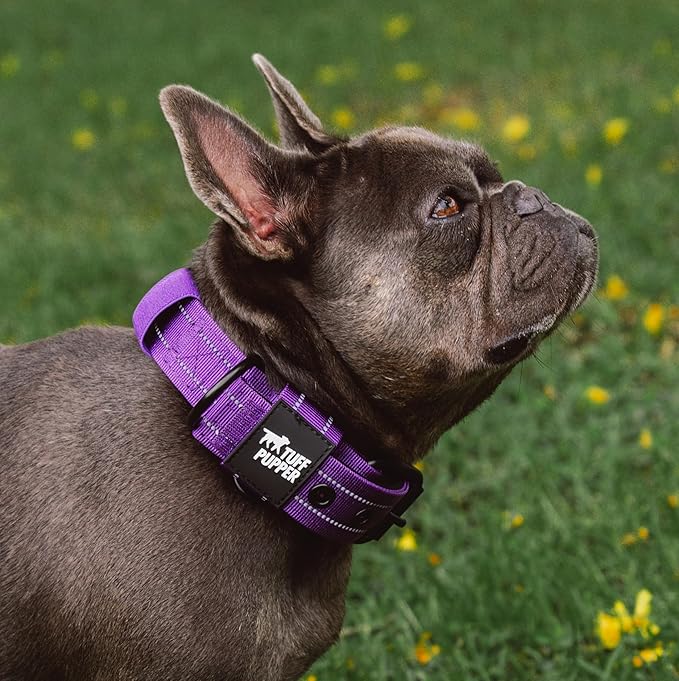 Tuff Pupper Heavy Duty Tactical Dog Collar | 1.25" Wide Ballistic Nylon | Reflective Stitching | Integrated ID Tag Holder | Stainless Steel Buckle | Padded Lining | Small & Medium Dogs (Purple, Small)