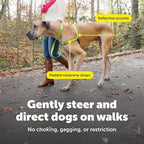 PetSafe Easy Walk Deluxe Dog Harness, No Pull Dog Harness – Perfect for Leash & Harness Training – Stops Pets from Pulling and Choking on Walks – Large, Apple