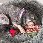 SPOT Skinneeez Crinklers Bird- Stuffing-Free Dog Toy with Crinkle and Squeaker Sounds, Durable Tug Toy for Moderate Chewers, Ideal for Medium and Large Dogs, Assorted Styles, 23 in