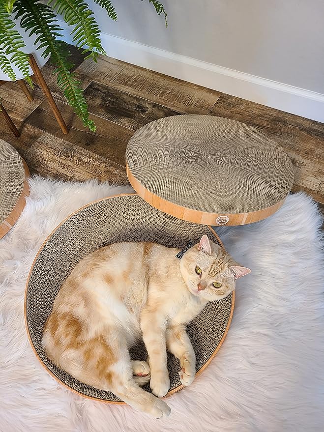 Necoichi Cat Scratcher Bowl Replacement for Indoor Cats - Cat Scratching Lounger with Reversible Usability and Extra Comfort for Lounge, Cardboard Bed Couch / (Regular, Oak)