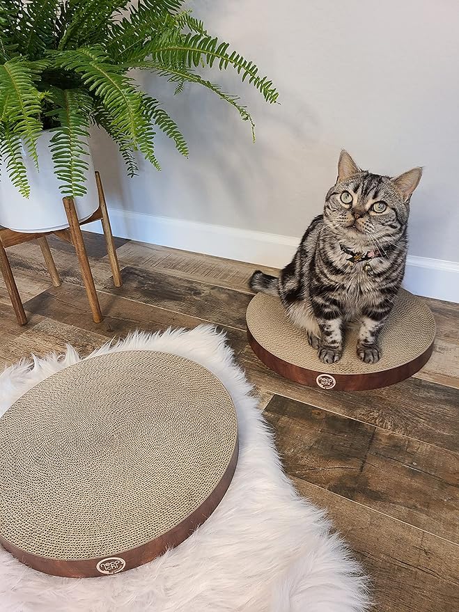 Necoichi Cat Scratcher Bowl Replacement for Indoor Cats - Cat Scratching Lounger with Reversible Usability and Extra Comfort for Lounge, Cardboard Bed Couch / (XL, Dark Cherry)