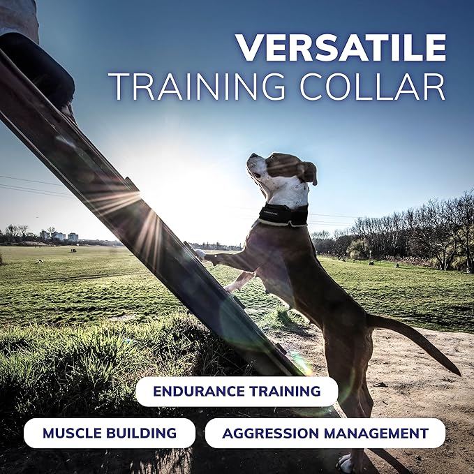 ActiveDogs Weighted Dog Collar for Muscle Building and Tactical Training - Dog Weighted Vest for Exercise - Includes 5x1lb Weights & Sheepskin Padding - Ideal for K9, Bully, Bull Terrier & More