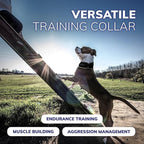 ActiveDogs Weighted Dog Collar for Muscle Building and Tactical Training - Dog Weighted Vest for Exercise - Includes 5x1lb Weights & Sheepskin Padding - Ideal for K9, Bully, Bull Terrier & More