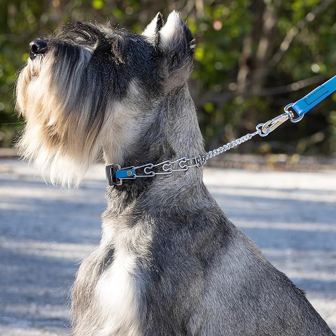 Herm Sprenger Chrome Plated Steel Dog Collar with Quick Release ClicLock Buckle and Biothane Insert Training Collar for Dogs Made in Germany (Cerulean Blue, 16in x 2.25mm(Neck Size up to 13-14in))