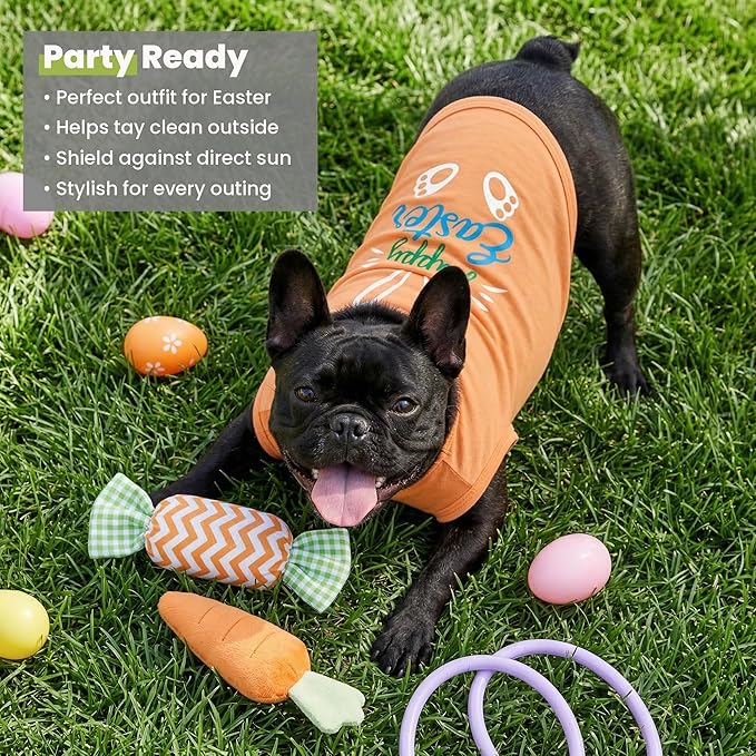 Fitwarm Happy Easter Bunny Dog Shirt, Easter Dog Clothes for Small Dogs Boy Girl, Cute Pet Outfit, Green, Blue, White, Orange, XL