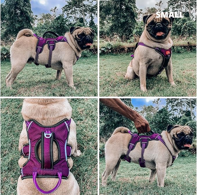Tuff Pupper Escape Proof No Escape Dog Harness | 5 Point Adjustable Fit Harness for Dogs | Padded Dog Harnesses | Handle Dog Lift Harnesses