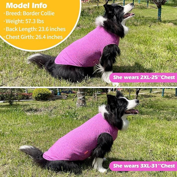 KYEESE 2Pack Dog Shirt, Lightweight Sun Protection Sleeveless Dog T Shirts for Medium Large Dogs Girl, Breathable Pet Reflective Tank Top Summer Dogs Clothes for Outdoor Walking, Grey+Hotpink, 2XL